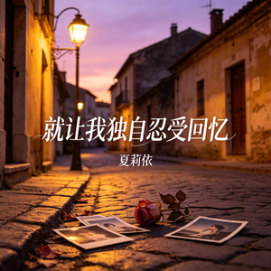 就让我独自忍受回忆