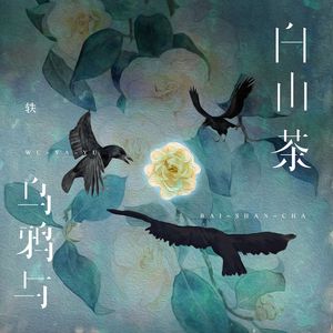 乌鸦与白山茶(伴奏)