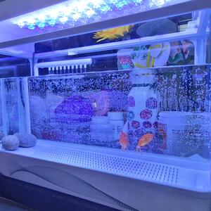 작은 어항속의 꿈