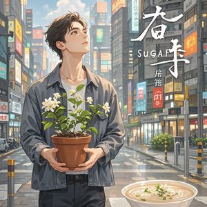 人间糖-云