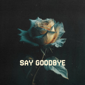 Say Goodbye