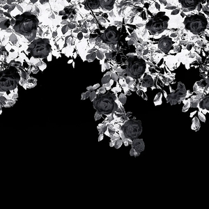 有个地方叫做稻城