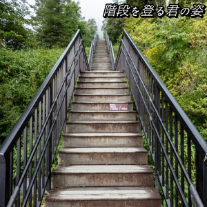 階段を登る君の姿
