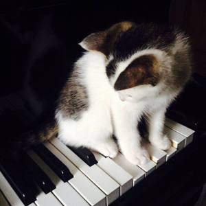 张惠妹 - 连名带姓（纯钢琴）