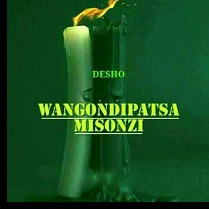 Wangondipatsa Misonzi