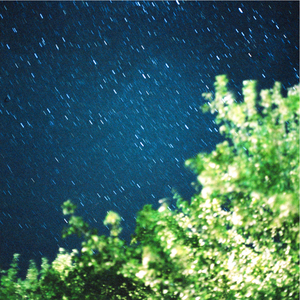 A Fool (feat. Ellysse Mason)