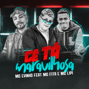 Cê Tá Maravilhosa (feat. Mc Fita & Mc Lipi)