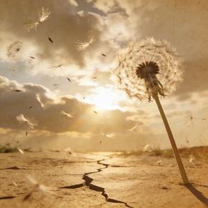 讲吧，她都知道 MMM(3) 伴奏