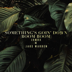 Something's Goin' Down (Boom Boom)