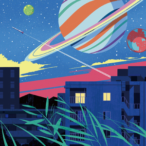 深夜のカエル会議