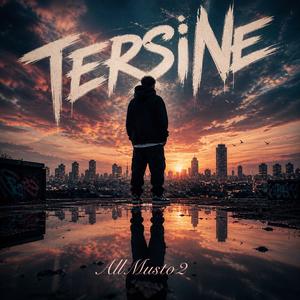 TERSİNE