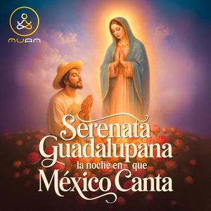 Mañanitas a la Virgen Morena