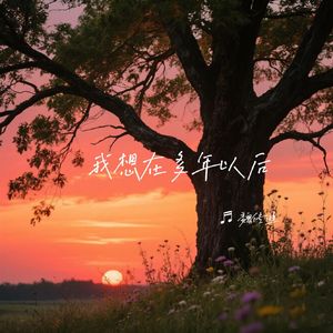 我想在多年以后