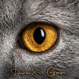 Gaze