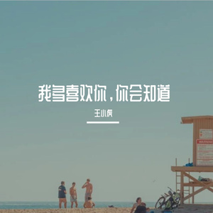 我多喜欢你，你会知道（翻自 王俊琪）