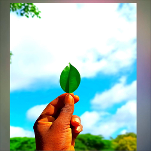 ಮನಸಿನ ಮಂದಾರ (Live)