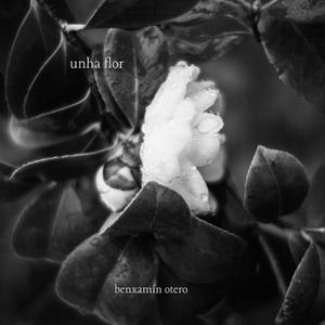 un piano para outra fotografía de Ugía Pedreira