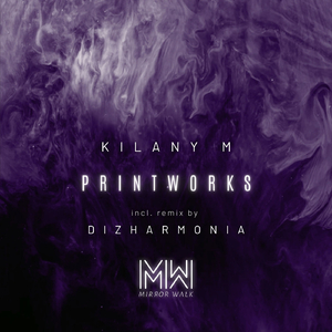 Printworks (Dizharmonia Remix)