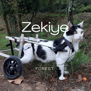 Zekiye