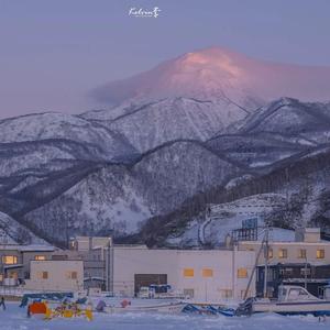 走马