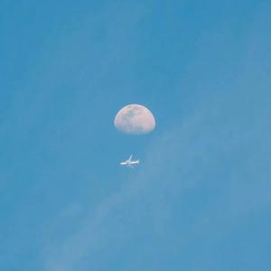 牵丝戏_霍去病版