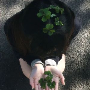 四叶草 浪漫国风 type beat