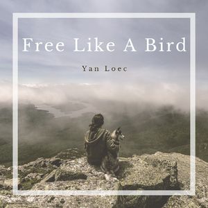 Free Like a Bird