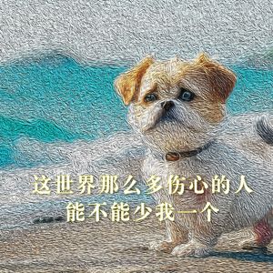 这世界那么多伤心的人