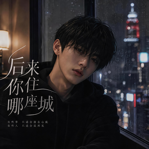后来你住哪座城