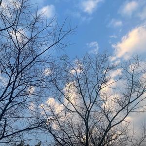 气质隆Sir-我是如此相信（苏畅 remix）