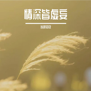 情深皆虚妄