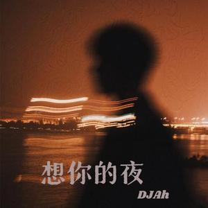 想你的夜 (DJ版)