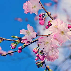 Sweet Dreams White Noise – Looped