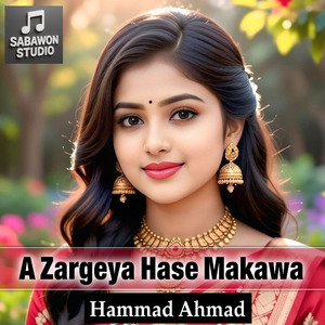 A Zargeya Hase Makawa