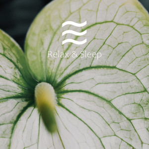 Sonidos de ruido marrón para alivio de la falta de sueño