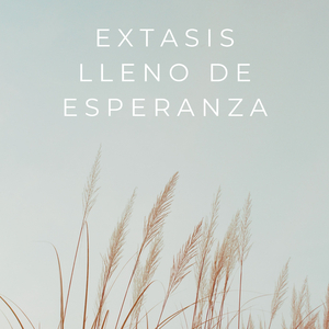 Tiempos De Inactividad