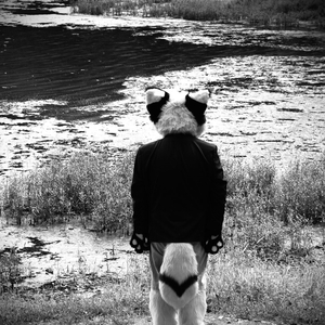 Trouble In The Water