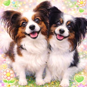 もふもふパレード