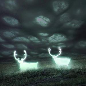 night light (feat. SKIWELLZ)