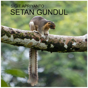 Setan Gundul