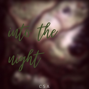 Into the Night (Live)