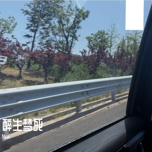 醉生梦死