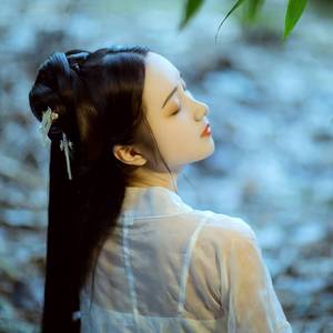 古筝-《仙侠传》雪字