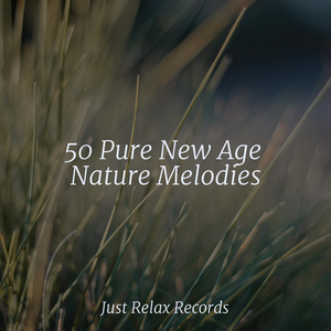 Whispers of a Gentle Journey