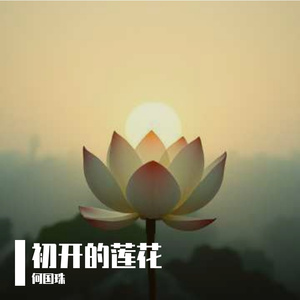 初开的莲花
