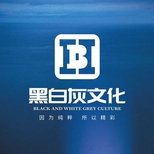 跟着感觉走 黑白灰版