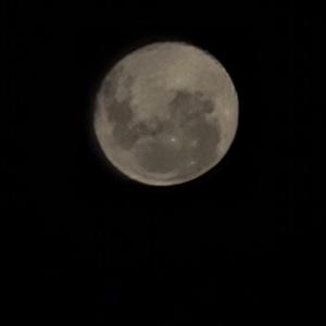 LAS GANAS (feat. 808frann)