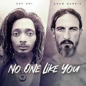 No One Like You (feat. Adam Harris)