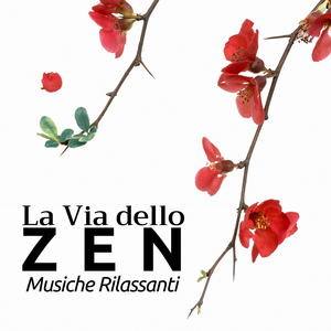Meditazione e Contemplazione