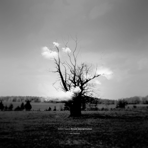 Heathen (Steve Rachmad Remix)